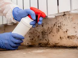 Best Residential Mold Inspection & Testing  in Matteson, IL